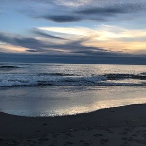 Meet your Posher, Ella